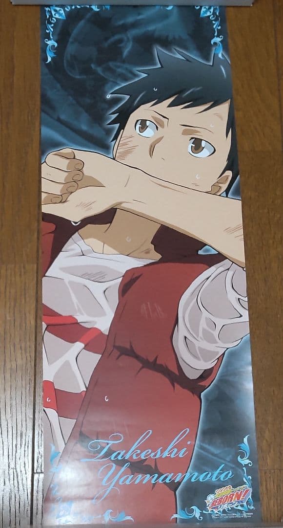 家庭教師ヒットマンREBORN！スティックポスター 13枚 まとめ売り