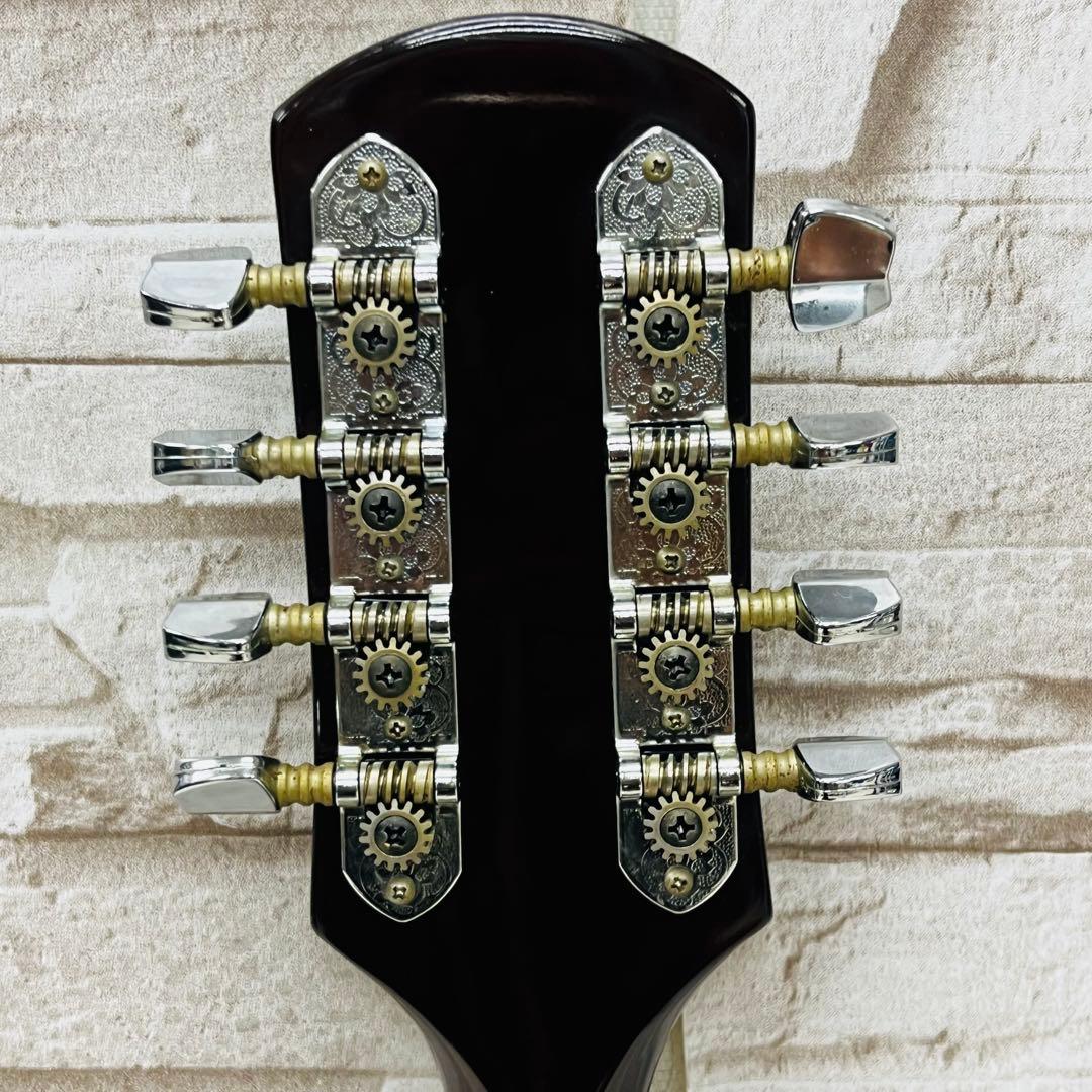 Samick サミック PU搭載 エレキフラットマンドリン