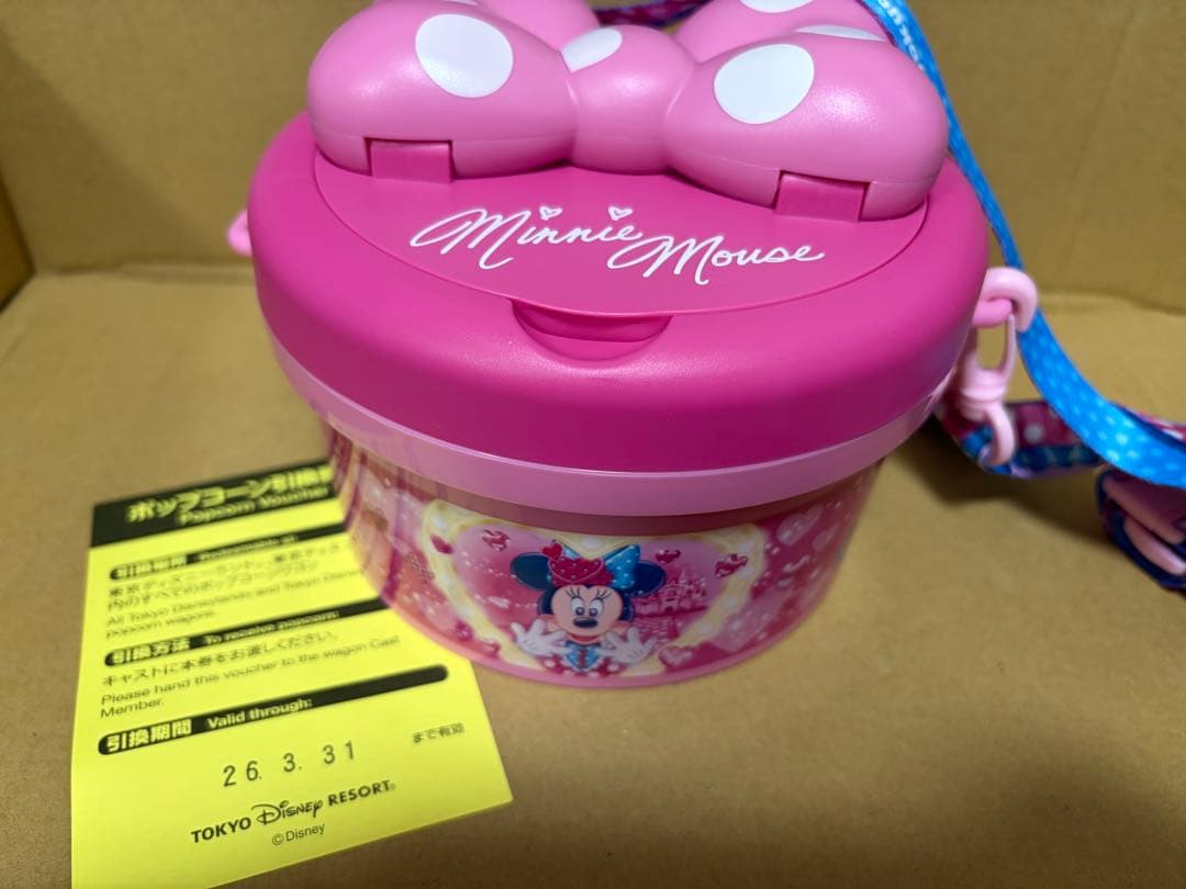 新品未使用 即日発送ポップコーンバケット パルパルーザ ファンダーランド ミニー