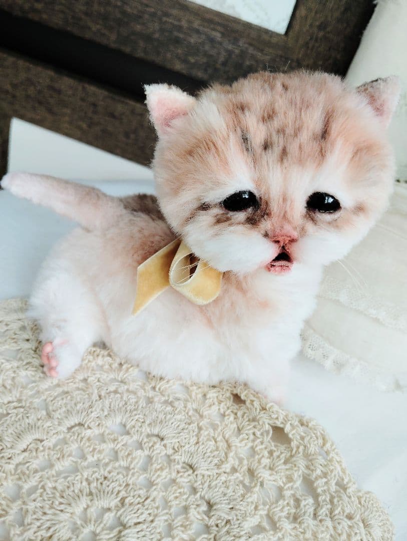 １体限定❤マンチカン子猫ちゃん♡ぽちゃボディ♡よちよちあんよ♡アートドール♡