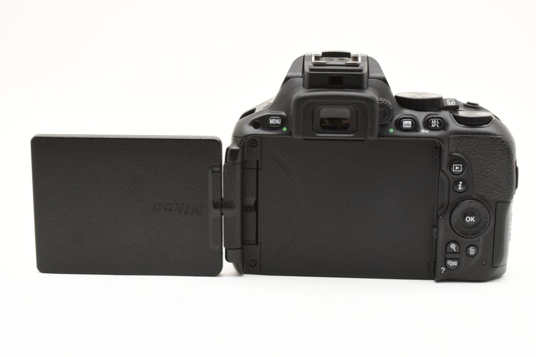 届いてすぐ使えるおまけ付き✨Nikon D5500 ダブルズームセット✨