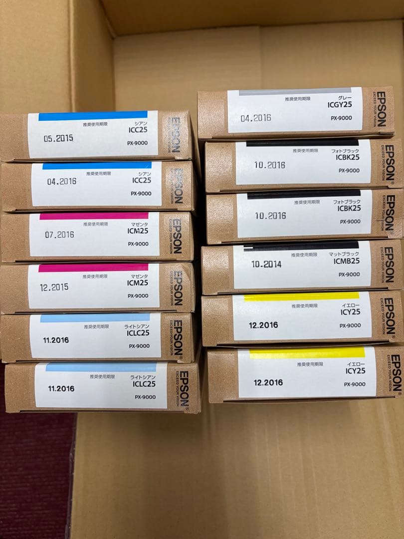 【使用推奨期限切れ】EPSON PX-9000 インクカートリッジセット