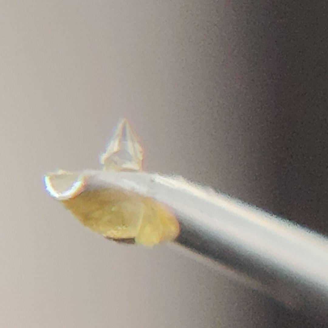 DENON DL-103 MCカートリッジ 箱その他付き 新しい感じで音質良好！