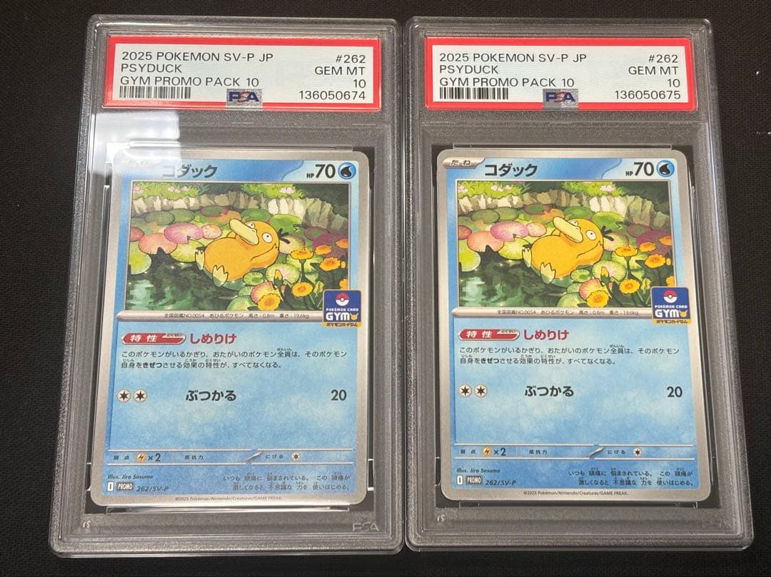 PSA10 コダック　しめりけ　262/SV-P ジムプロモ　2連番