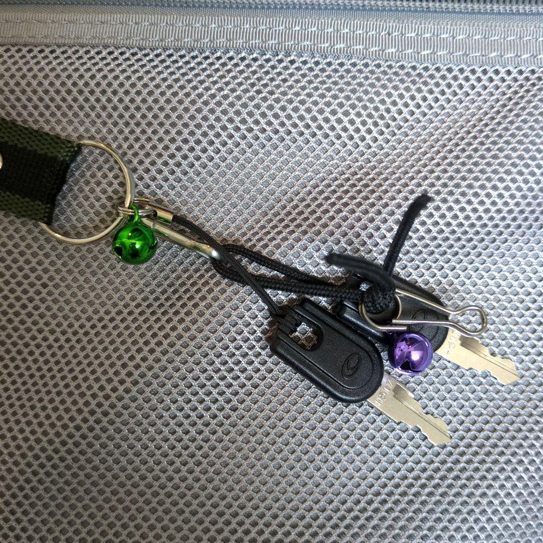 黒いキャリーケース　エース　プロテカ