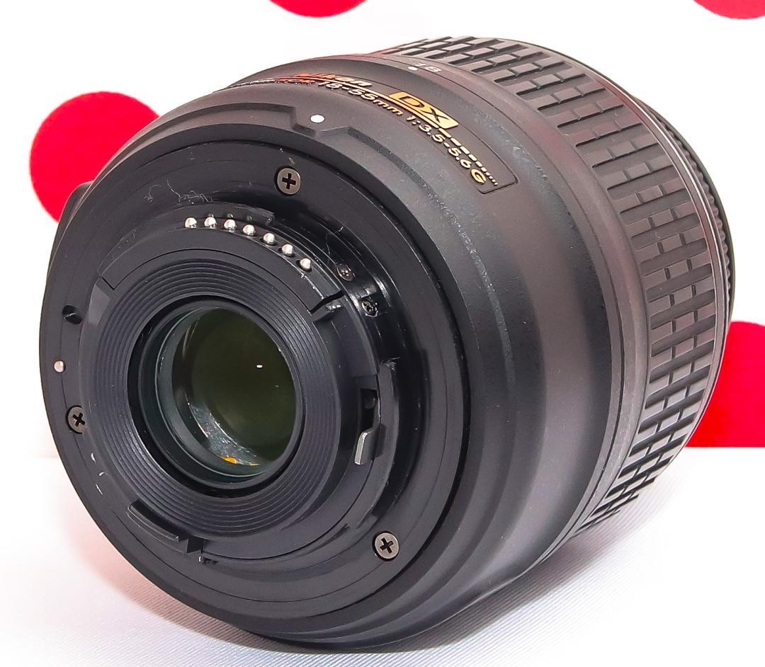 美品 ニコン Nikon D3100❤スマホに転送❤人気機種❤小型軽量一眼レフ❤