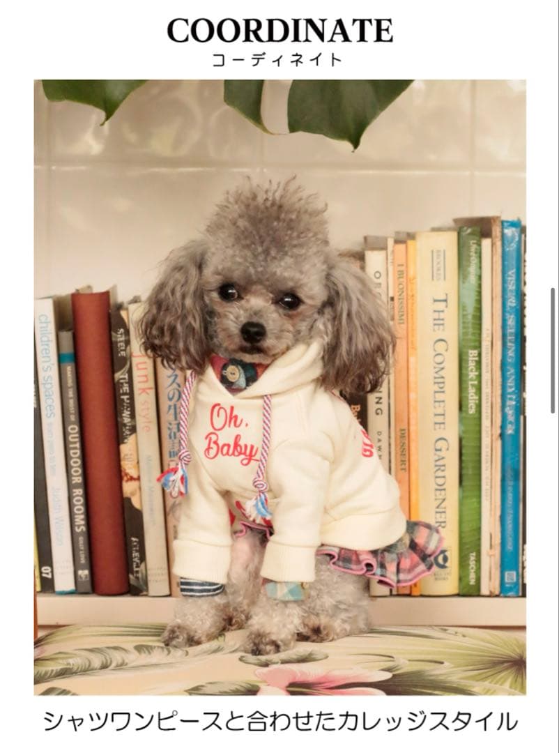 アトリエGG ベイビーカレッジパーカー(ガールズ) 19ハーフ