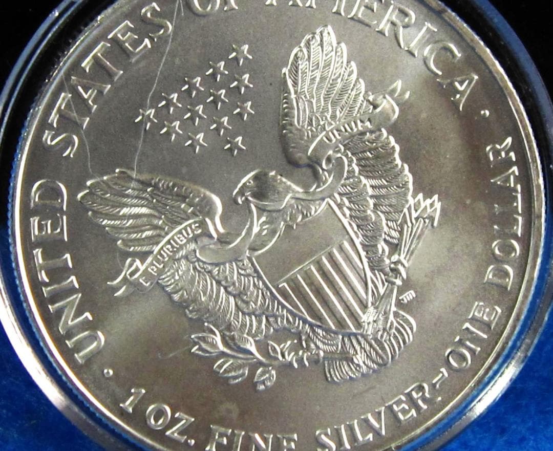 ０１年　カラー　アメリカンシルバーイーグル　１オンス１ドル銀貨　ＷＴＣリメンバー