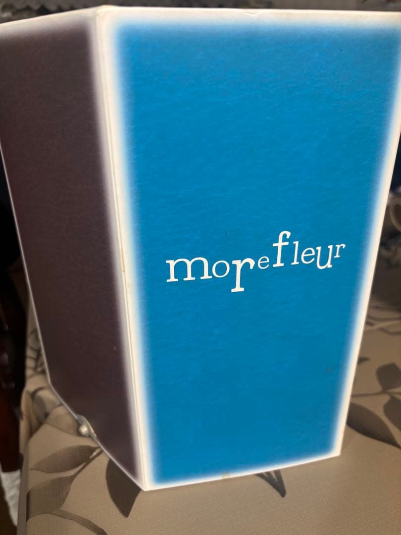 フォンテーヌ　フルウィッグ（説明書付き）