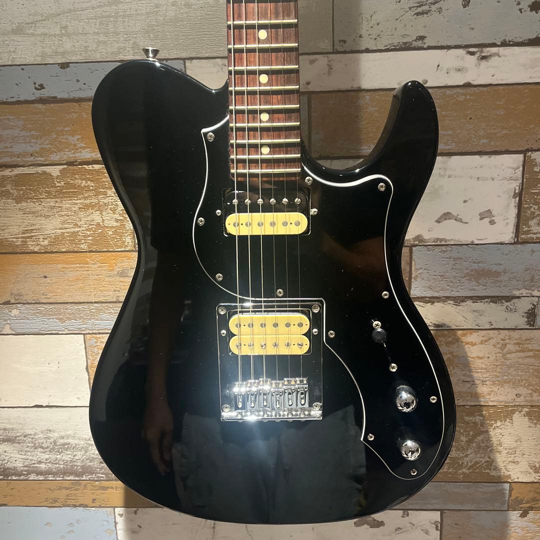 FUJIGEN テレキャスター 2ハム