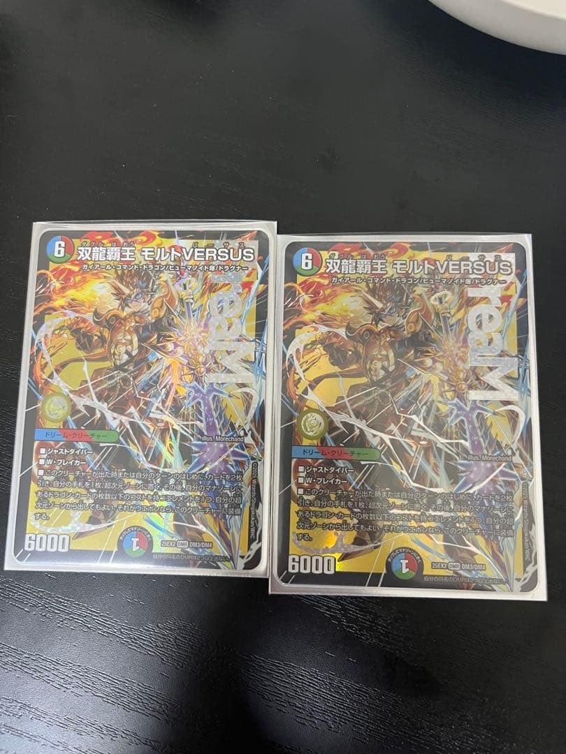 双龍覇王モルドVERSUS 2枚セット