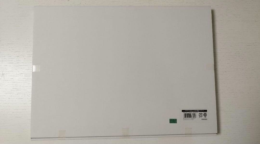 マクロス超時空フェスティバル　 ビッグアクリルアートパネル