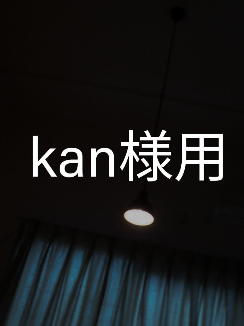 louis poulsen toldbod l burnished 廃番