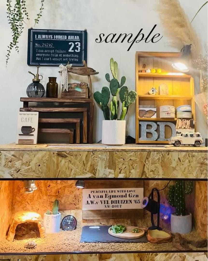 まさよし　爬虫類ケージ　木製ケージ　 900×600フルオプション