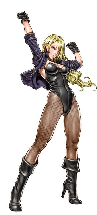 DC COMICS美少女 ブラックキャナリー 1/7 初回版 未開封美品！