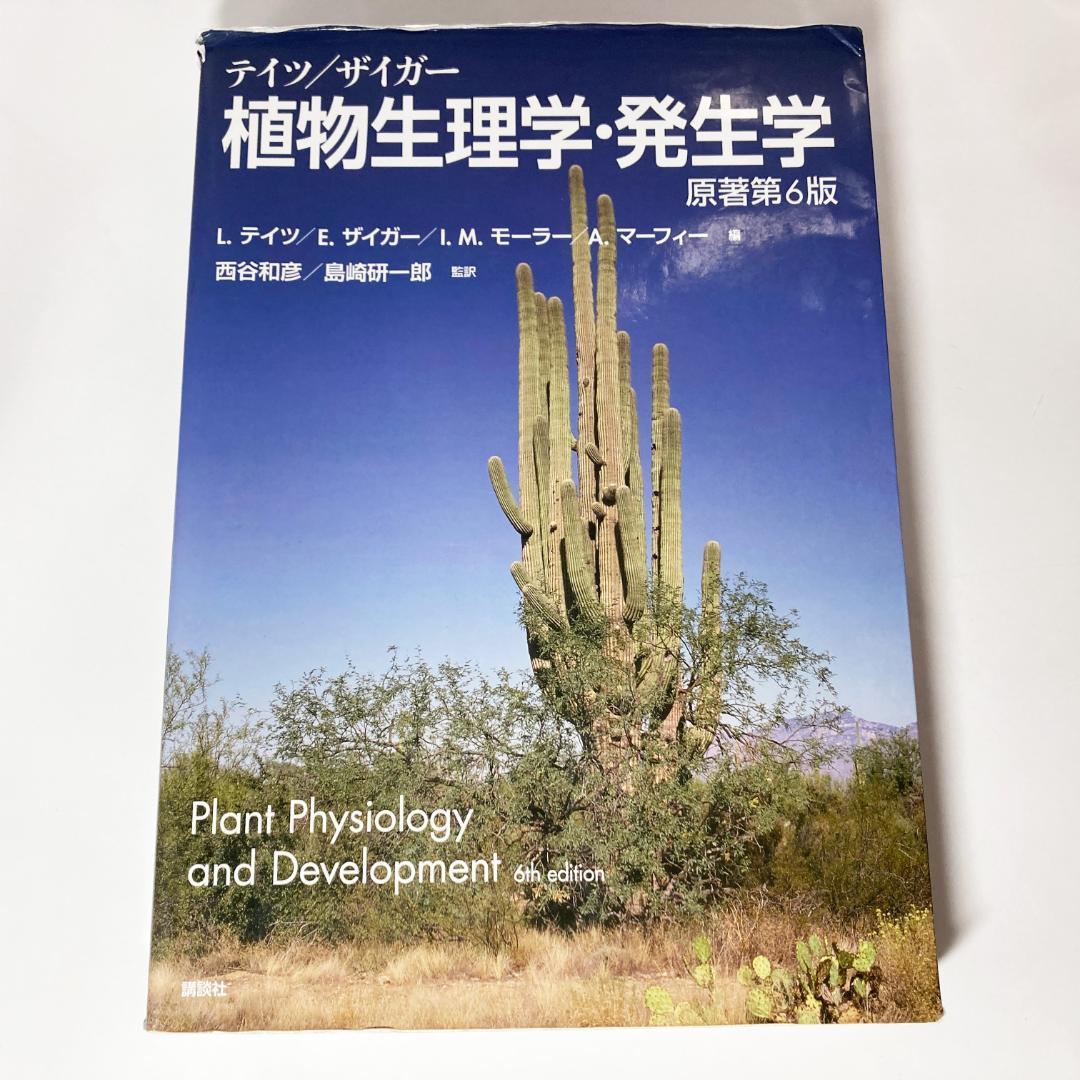No.651 オペル王妃 ノーマルレア 幻想水滸伝カードストーリーズ
