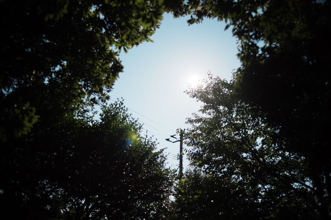 【幻のレンズ】Carl Zeiss Distagon 28mm F2 AEG