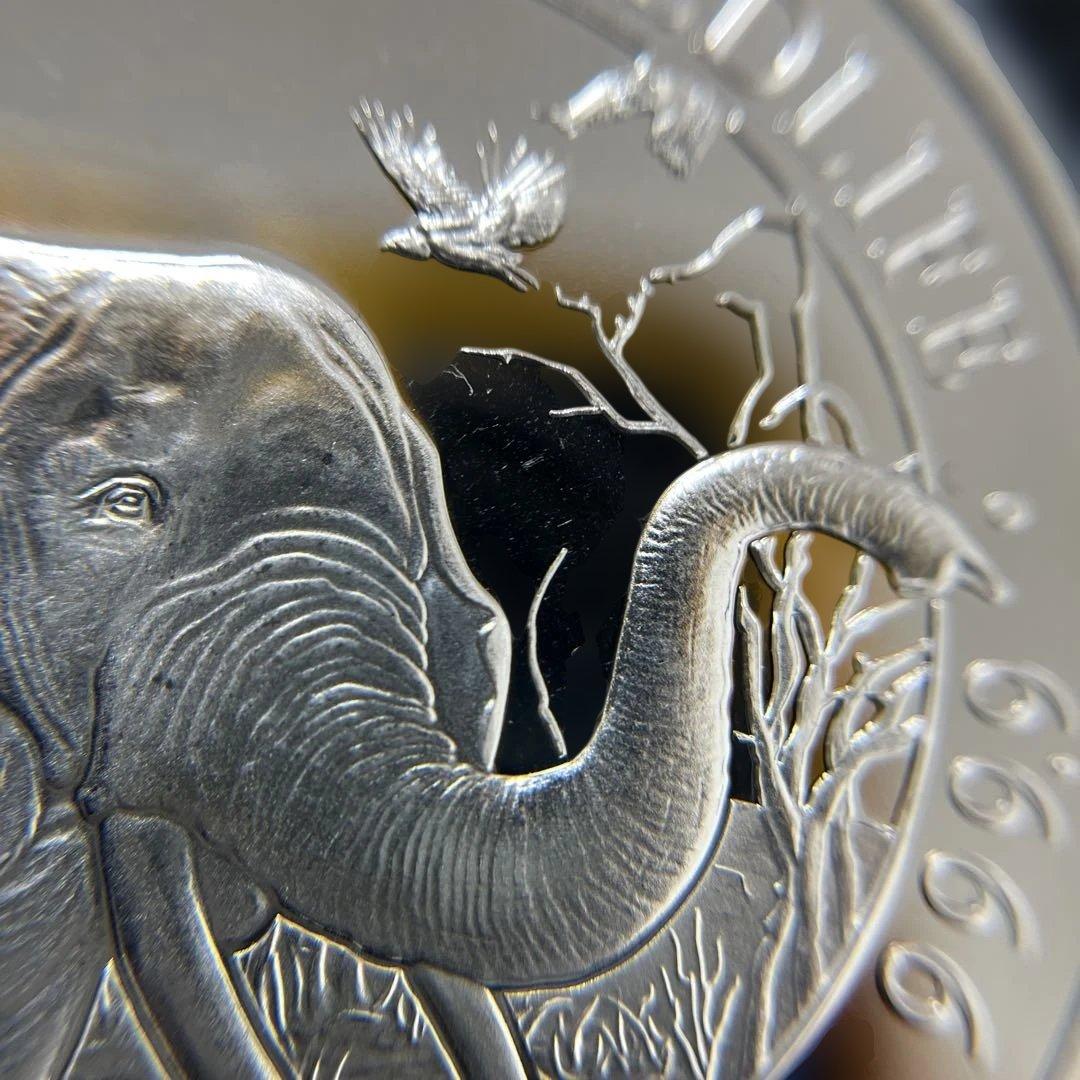 【純銀】ソマリア共和国　2018年　エレファント銀貨100シリング　1オンス②