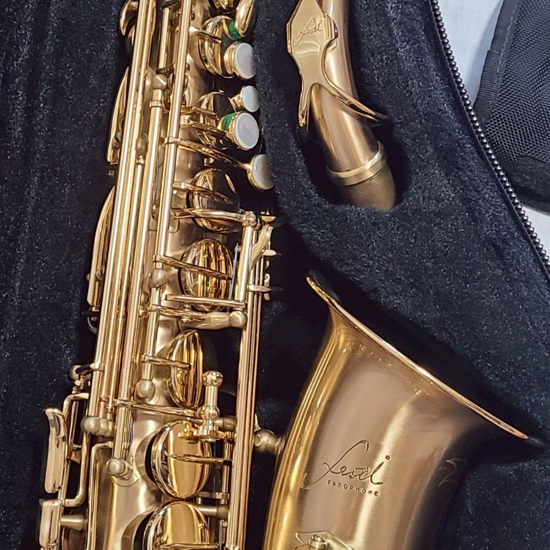 Festi アルトサックス 彫刻入り 管楽器 サックスフォン ケース付 ゴールド