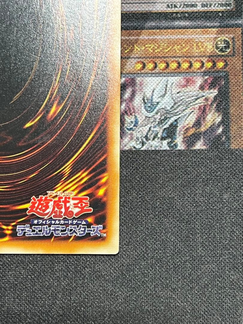 遊戯王　竜騎士ガイア　レリーフ　309-057