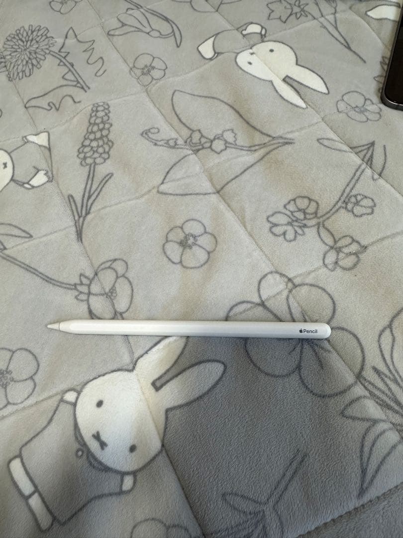 Ipad Pro12.9第6世代 2022 256GB WF+Cellular