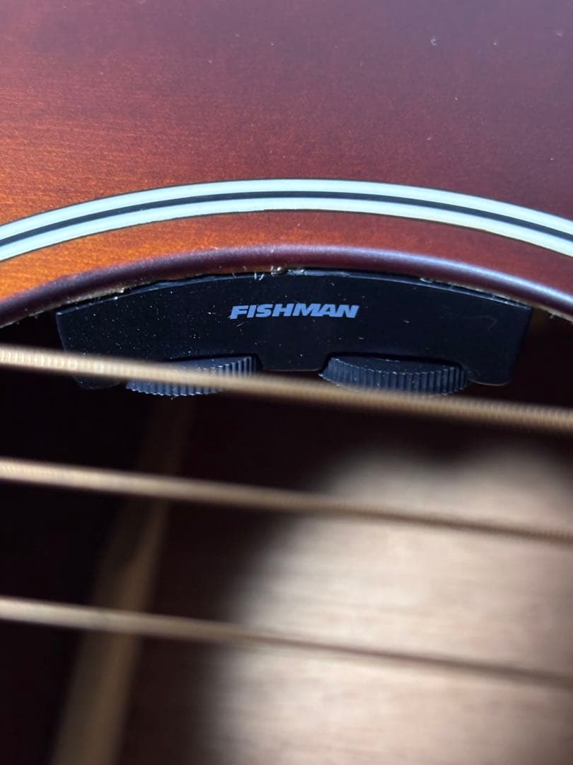 オール単板Recording King ドレッド　エレアコースティックギター