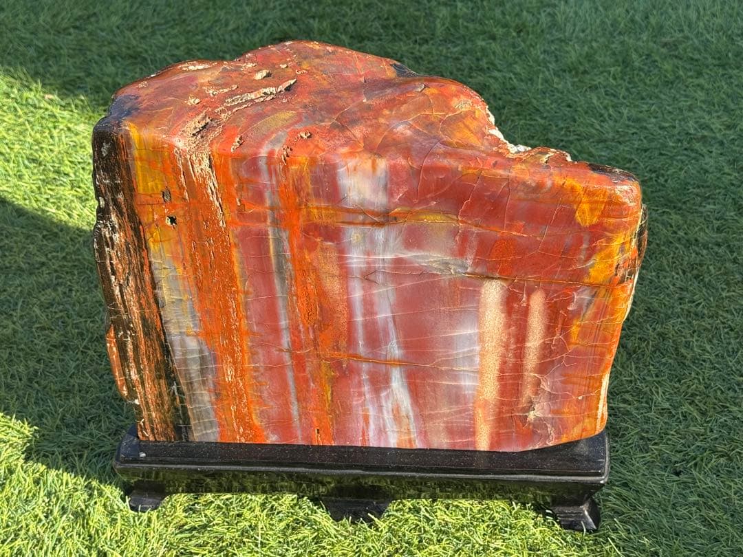 珪化木 木化石 鑑賞石 天然石 水晶 色石 赤石 赤玉石 アリゾナ珪化木 置物