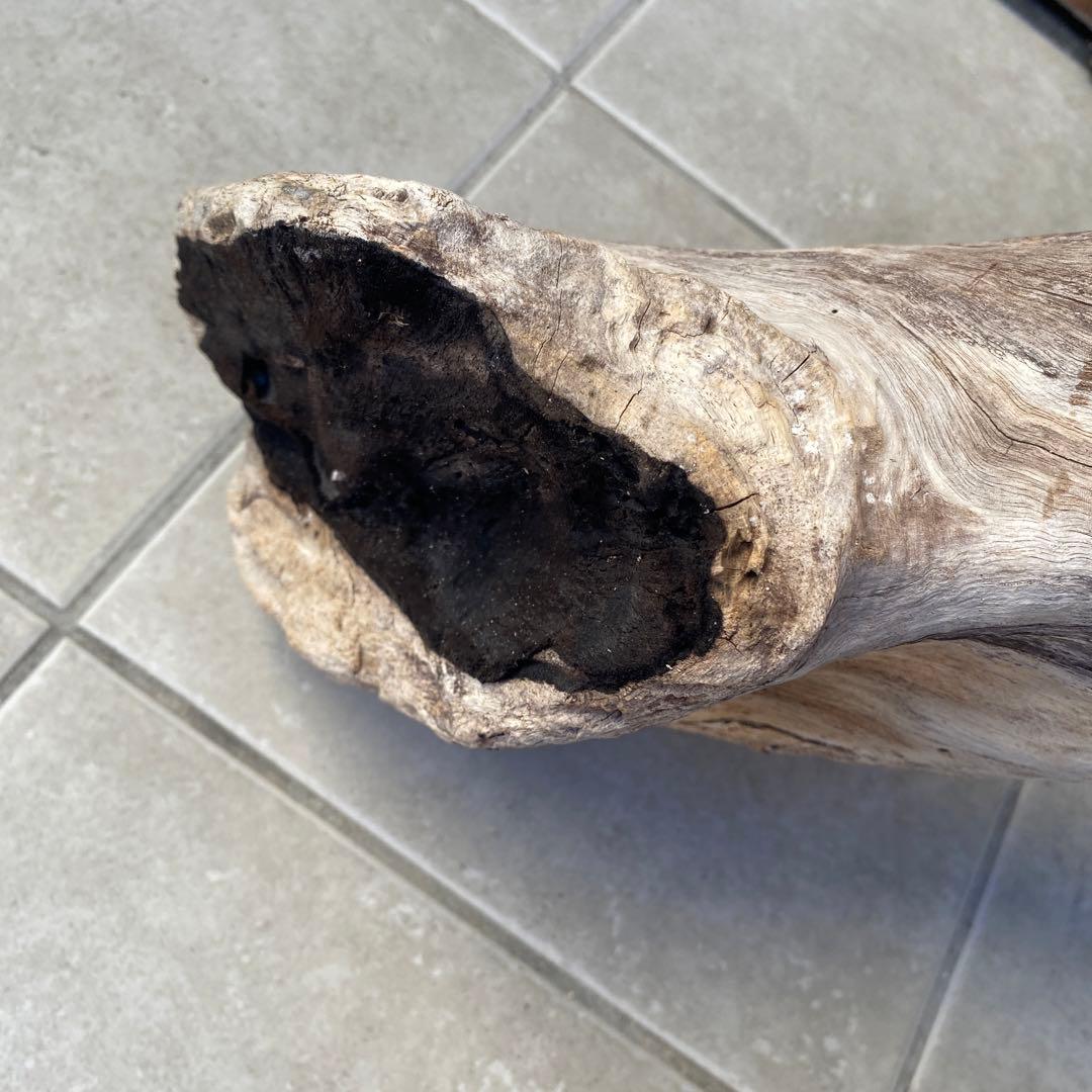 【希少大型流木】　☆おまとめ買い値引き実施中です☆