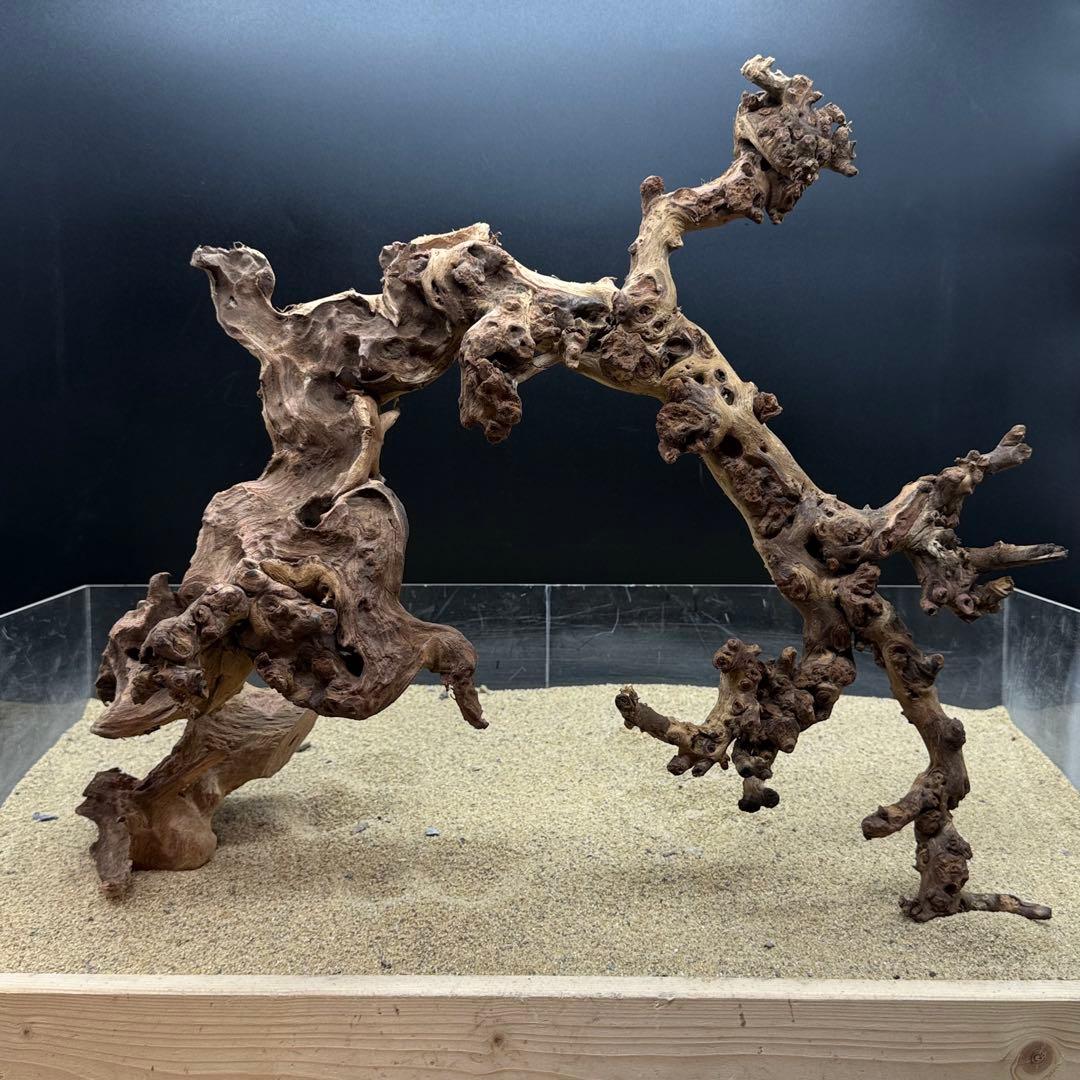 MSW-7083 天然流木 一点物　枝流木　アクアリウム