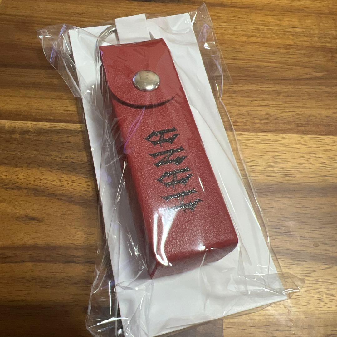 【新品最安値】HANA ロゴリップケース　デビュー直前イベント