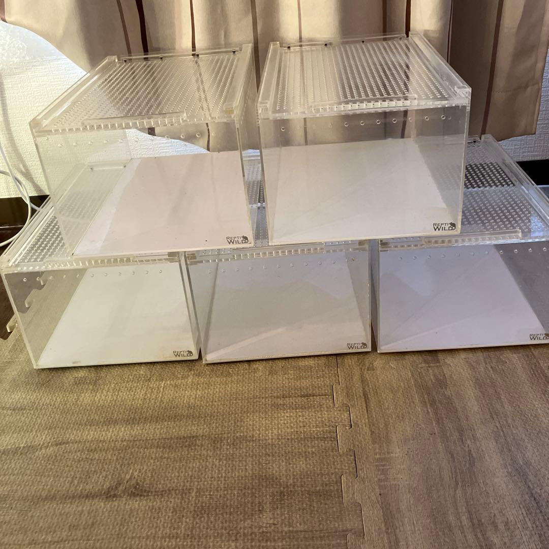 REPTI WILD 飼育ケージ 5個セット