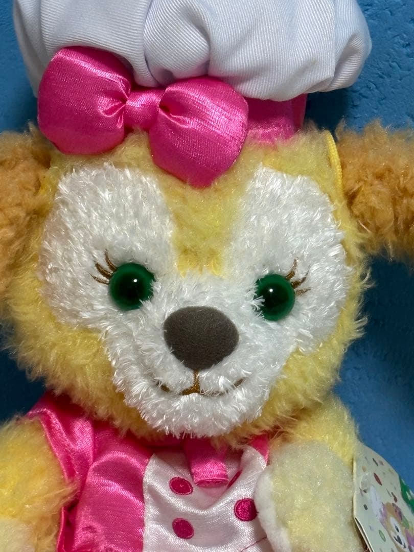 新品タグ付き　お顔厳選　香港ディズニー　クッキーアン　スペシャルエディション