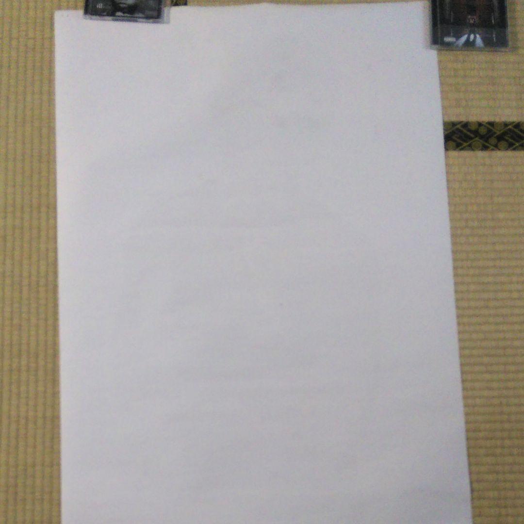 Supreme ルーリード ポスター