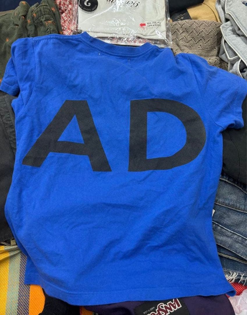 DINOWORKS 青色 Tシャツ ADHD