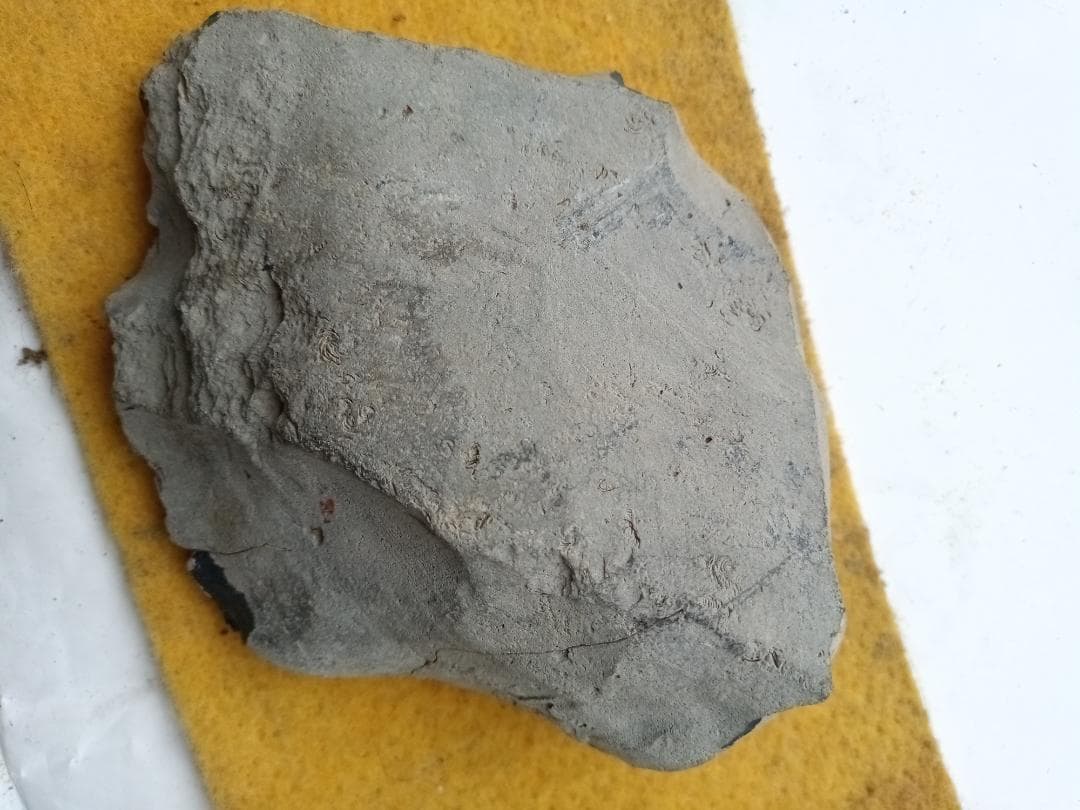 握り槌　出土石器　旧石器時代　縄文時代　サヌカイト　　185