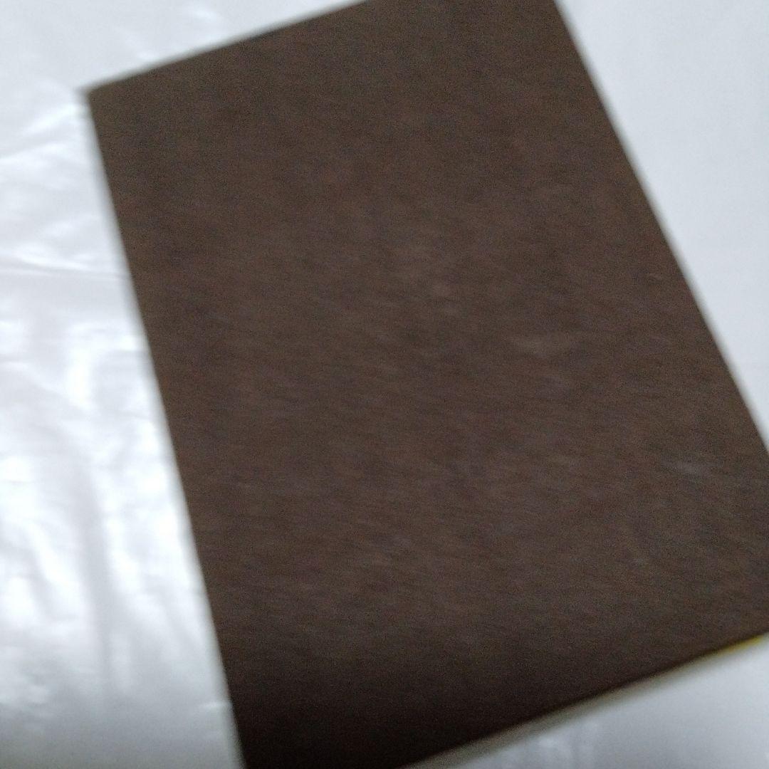 御朱印 まとめ① 42点 1点価格限界値 銀閣 富士山頂 永平 恵林 金刀比羅