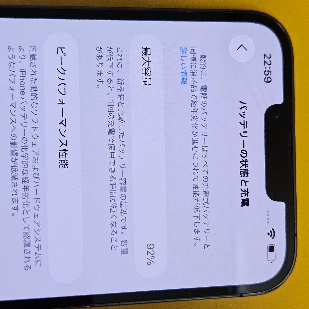 iPhone 13 ProMax 256GB｜24時間以内発送!#540