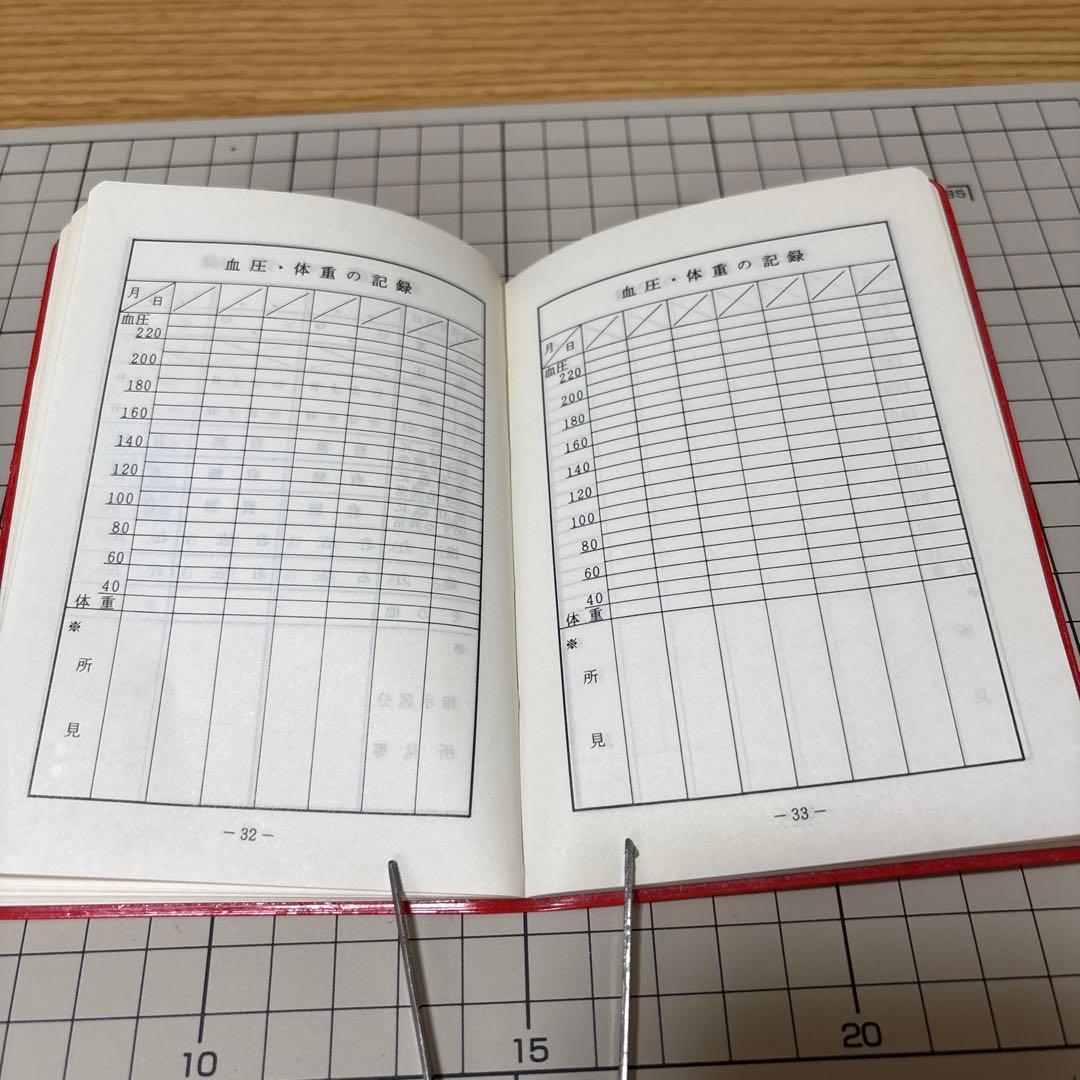 非売品　航空自衛隊健康手帳　（検索用）自衛隊　航空機　戦闘機　昭和　平成　レトロ