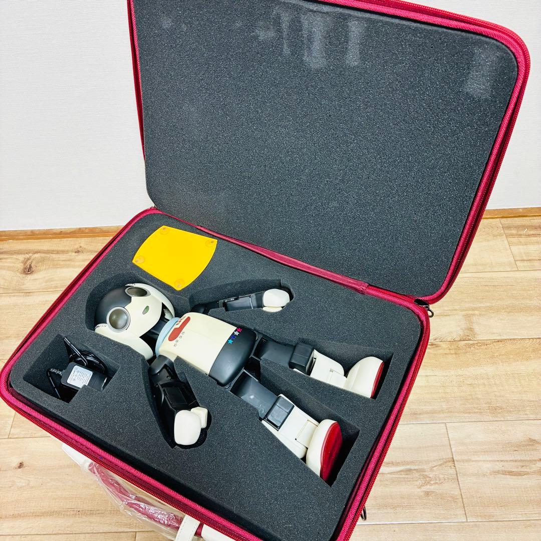 ディアゴスティーニ　ロビ　Robi　専用キャリングケース付き　現状品