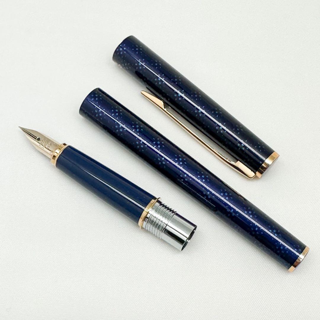 未使用 PILOT パイロット 万年筆 14K 585 パープル ケース付