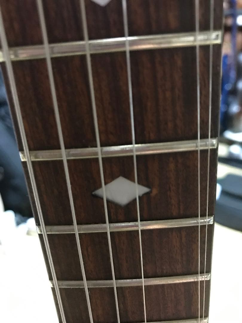 HIDEモデル FERNANDES MG-100X アメーバペイズリーペイント