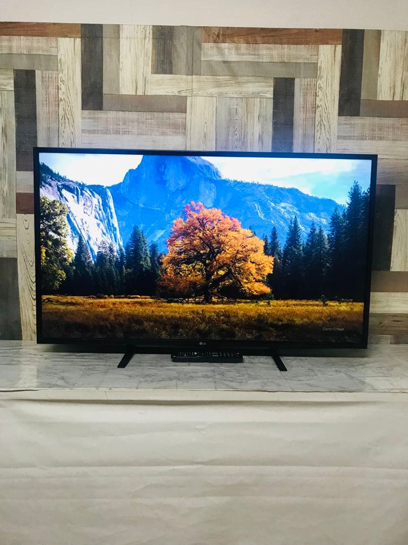 即日受渡❣️全国送料込LG49型4KテレビYouTube.Netflix新品リモ付