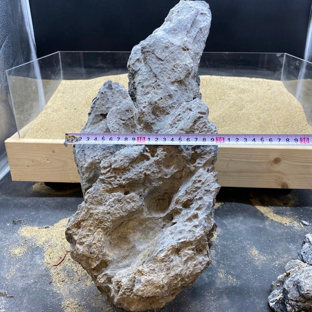 MSS-6640 セレクト品青龍石46cm親石　龍王石　竜王石