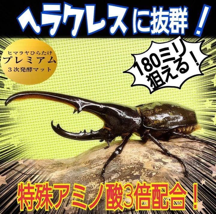 20Lケース付き【2セット】カブトムシ幼虫を入れるだけ！特選プレミアム発酵マット