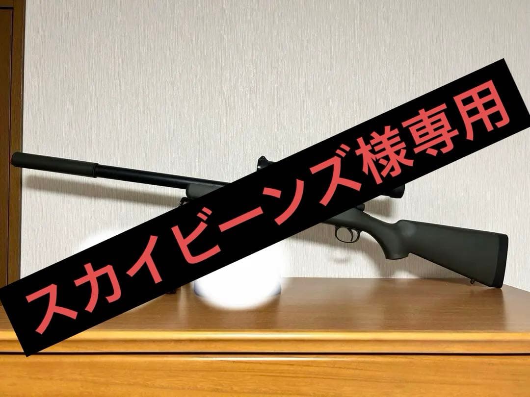 スカイビーンズ