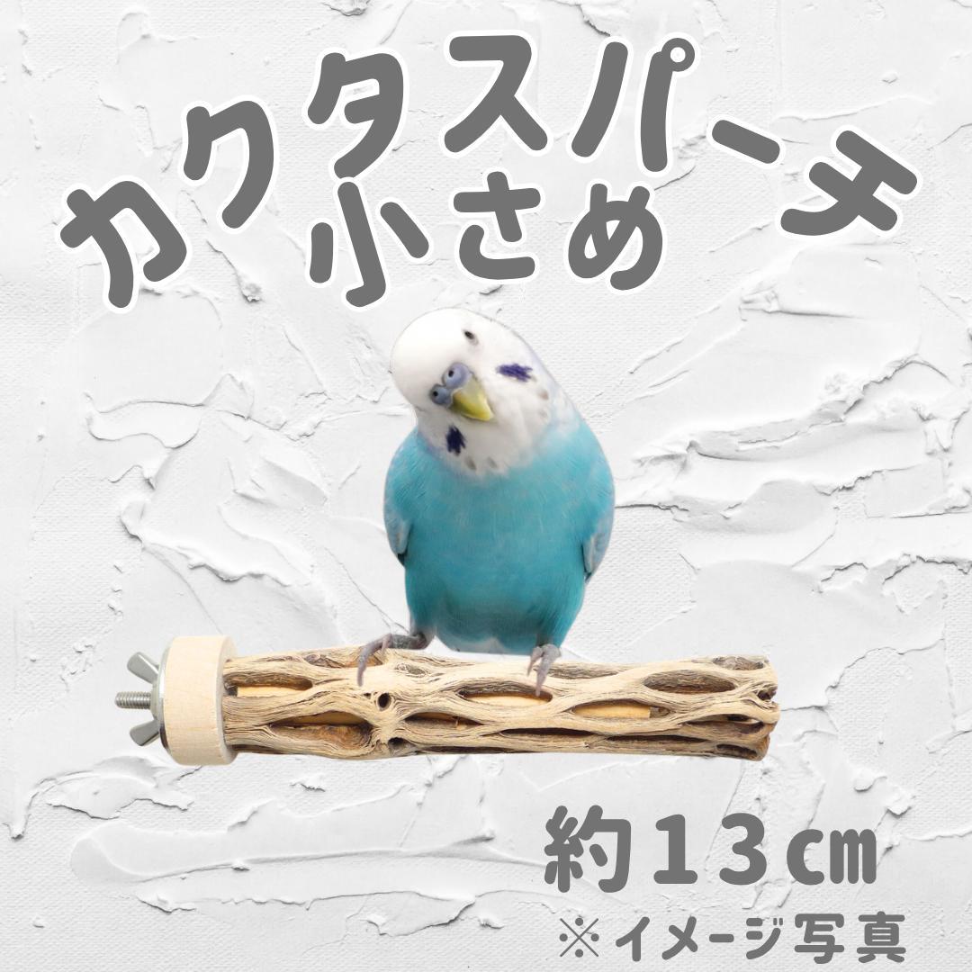 pau　止まり木　カクタス　スケルトン　パーチ　おまとめ２点