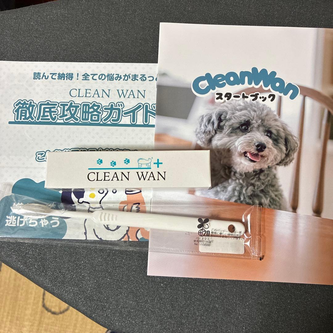 クリーンワン　デンタルケア　2個セット