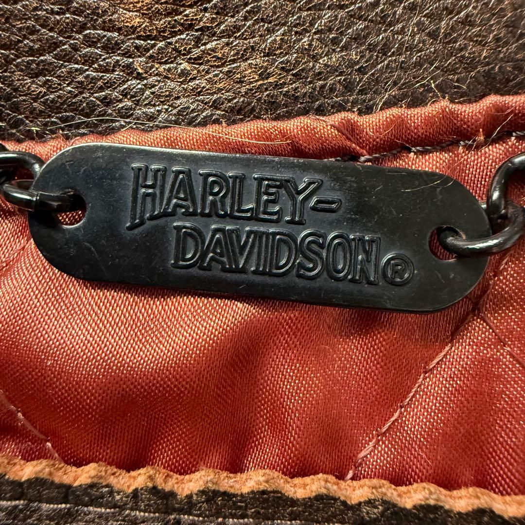 ハーレーダビッドソン XL シングルライダース SCREAMIN'EAGLE