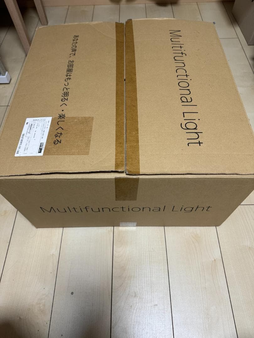 シーリングライト・天井照明 SONY Multifunctional light