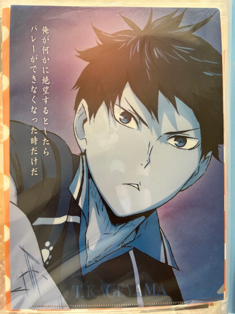 ハイキュー!! 影山飛雄 クリアファイル20種まとめ売り